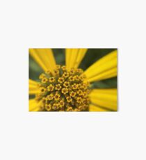 Flowers inside Flowers Art Board