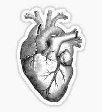 Anatomical Heart Sticker