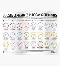 Benzene Derivatives in Organic Chemistry Poster