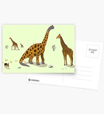 Brachiosaurus Postcards