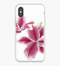 Stargazer Lilly iPhone Case