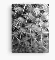 Spike Canvas Print