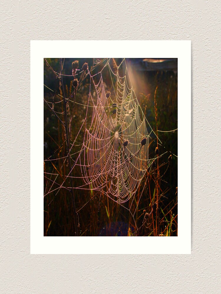 Alternate view of Web of Dreams Art Print