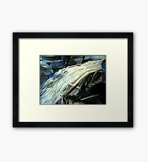 Rush Framed Print