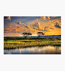 Garden City A Bit Before Sunset Photographic Print