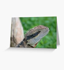 Dragon Greeting Card