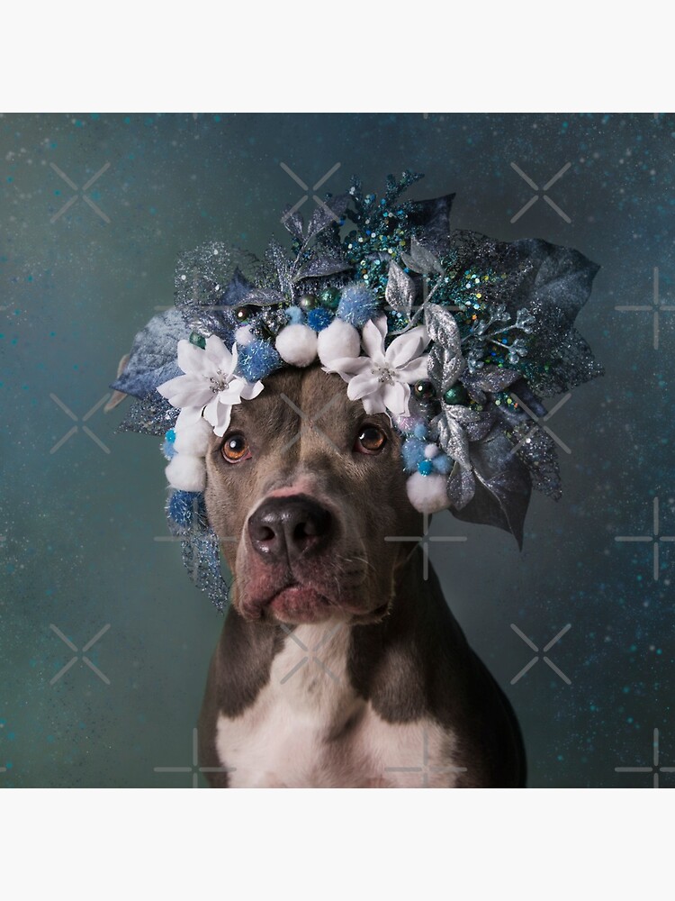 Flower Power, Patsy by SophieGamand