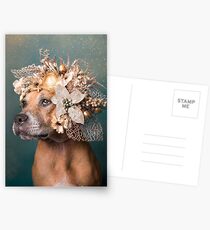 Flower Power, Hope Postcards
