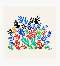 La Gerbe (Matisse) Photographic Print
