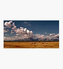 The Grand Tetons Photographic Print