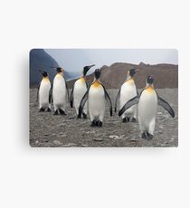 King Penguins on Parade Metal Print