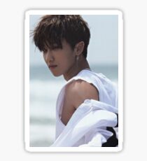 Minghao Seventeen Al1 Sticker