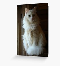 Portrait Greeting Card