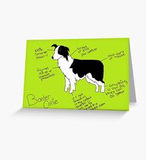 Border Collie Greeting Card