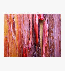Raw Photographic Print