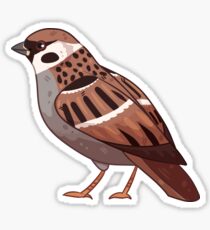 Sparrow Sticker