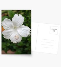 Purify Postcards