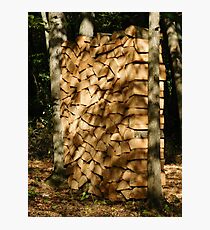 West Woods Light Photographic Print