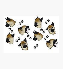 German Shepherd Expression Pattern Photographic Print