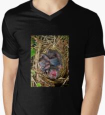 Baby Red Birds Men's V-Neck T-Shirt