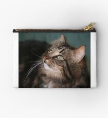 Meet Whiskers Studio Pouch