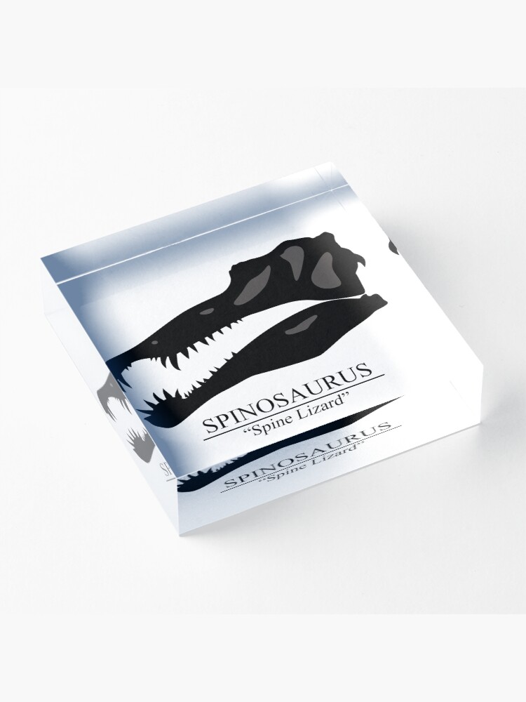 Alternate view of Spinosaurus Skull Acrylic Block