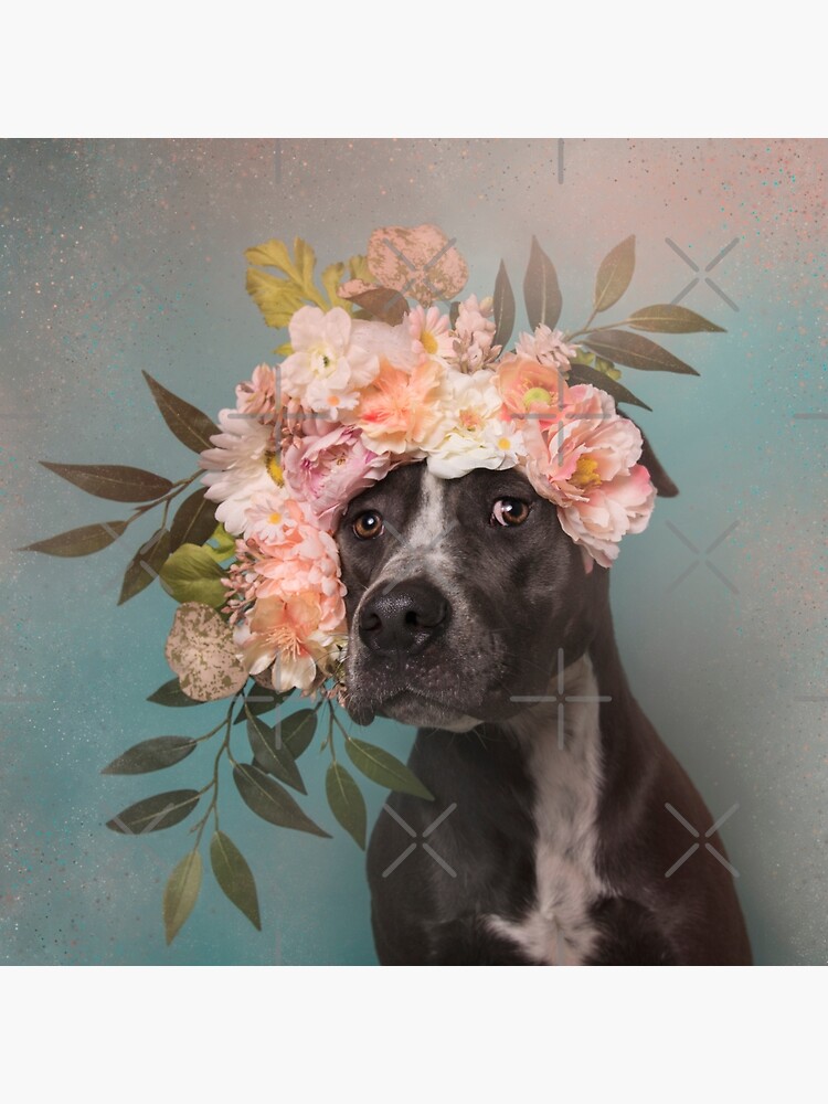 Flower Power, Max 2 by SophieGamand