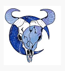 Crescent Skull Photographic Print