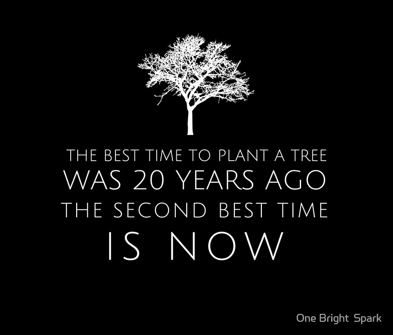 Quot The Best Time To Plant A Tree Was 20 Years Ago The When Is The Best Time To Plant A Vegetable Garden