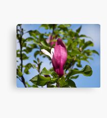 Flower Canvas Print