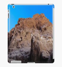 Mountain iPad Case/Skin