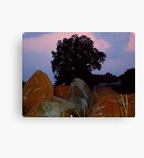 Boulders Canvas Print