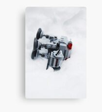 HOTH Canvas Print