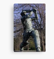 Cover Driver Canvas Print