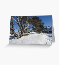 Snow Gums Greeting Card