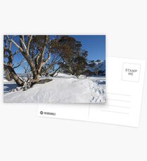 Snow Gums Postcards