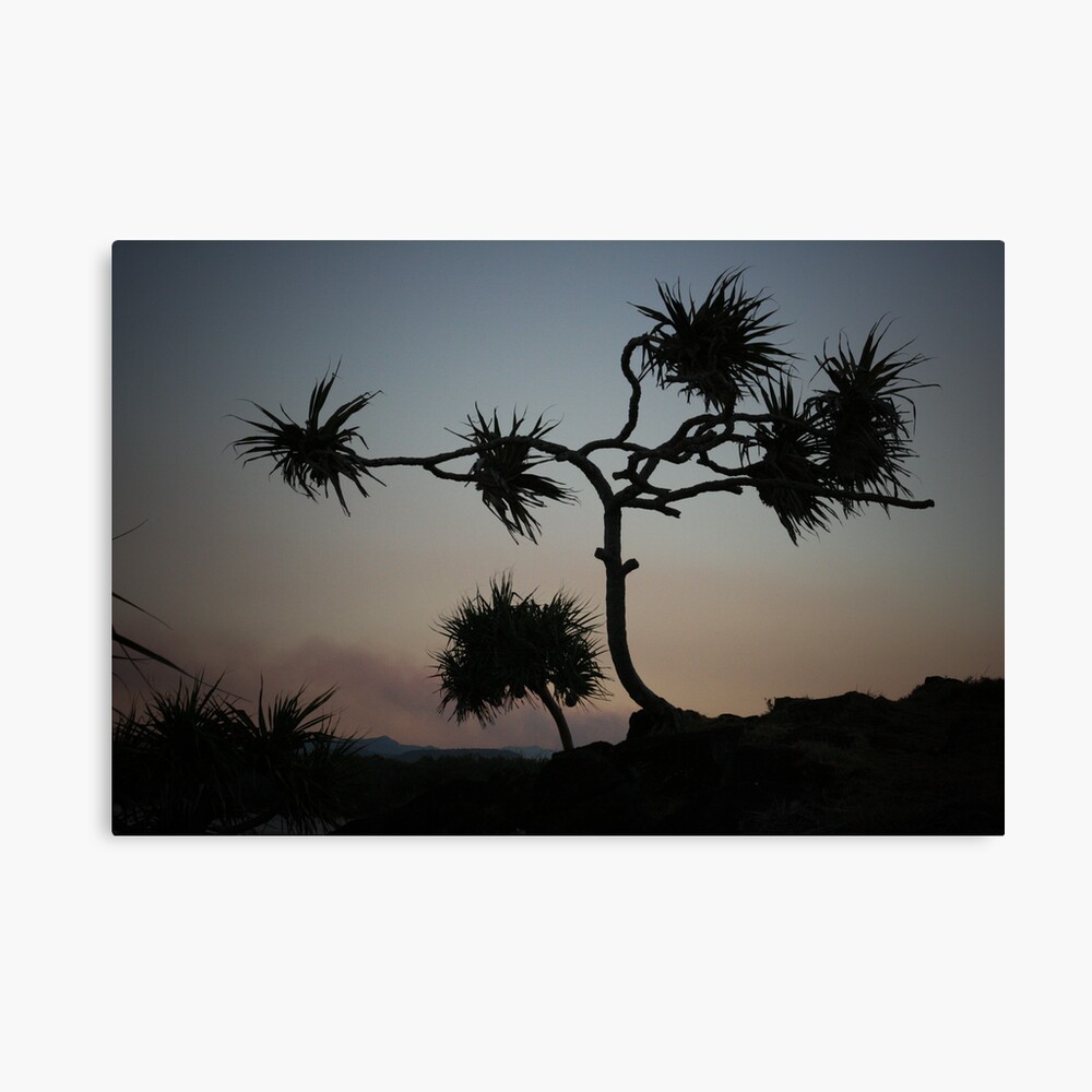 Dark Wind Canvas Print