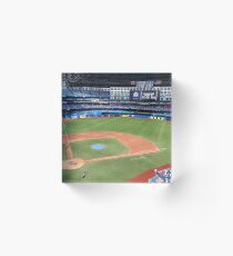 Toronto Blue Jays Stadium Acrylic Block