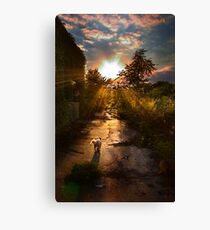 Adventurer Canvas Print
