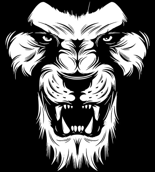 roaring lion shirt