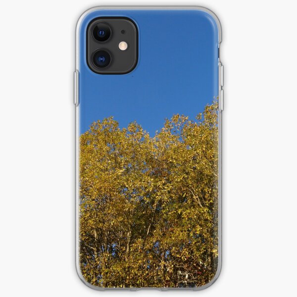 Golden Birches in Autumn iPhone Soft Case