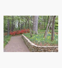 Nature Photographic Print