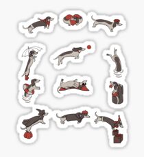 Dachshund year - calendar Sticker