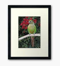 Sidney Framed Print