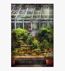 The Greenhouse II Photographic Print