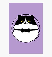 Sophisticated Black & White Cat Photographic Print