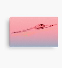Metamorphic Canvas Print