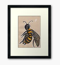 Bumble Framed Print