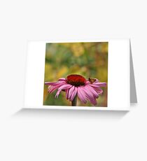 Little Skipper Greeting Card