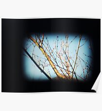 Untitled Poster
